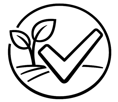 chatgpt image feb 19 2026 09 04 38 pm optimized 250